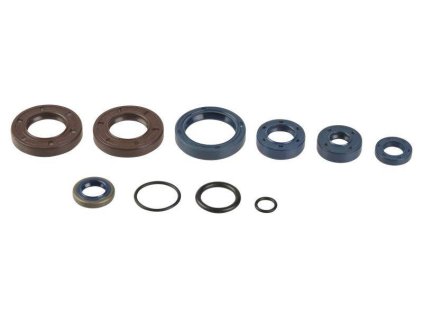 45869 athena sada gufer motoru beta rk6 50 ccm 93 96 rr6 97 99 sm 50 99 ktm 65 93 99 01 06