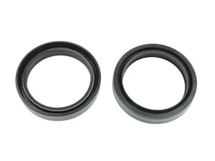 48197 athena gufera do vidlic 2 ks nok 48x61x11 ari134