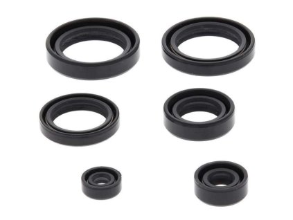 55976 winderosa sada gufer motoru honda trx400fa 04 07 trx400fga fourtrax rancher 4x4 04 07