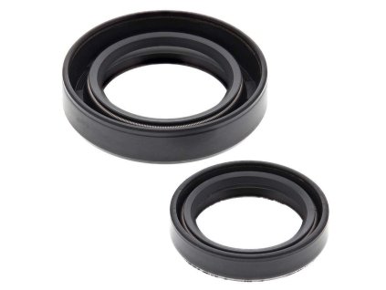 61187 winderosa sada gufer motoru sachs 290 sa290ss sa290r fc1 340 sa340r sa340c fc 1 ski doo