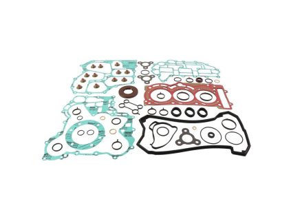 64079 1 winderosa sada tesneni motoru s olejovym tesnenim ski doo expedition 900 ace 16 expedit