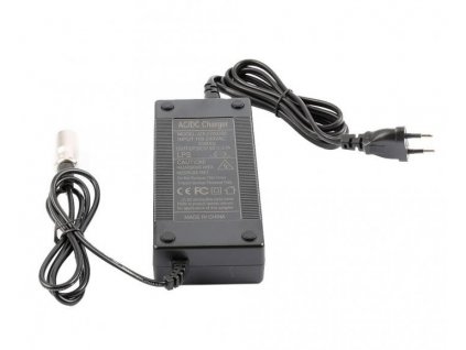 11822 nabijacka 48v li lon runner lithium