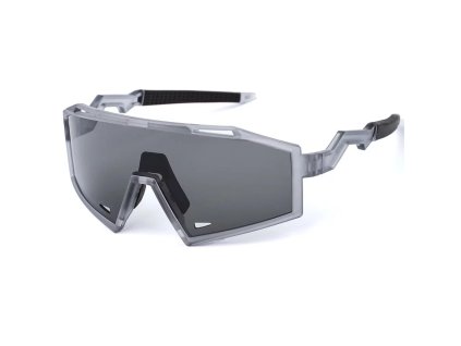 Slnečné okuliare  Pitcha THUNDER gray/smoke
