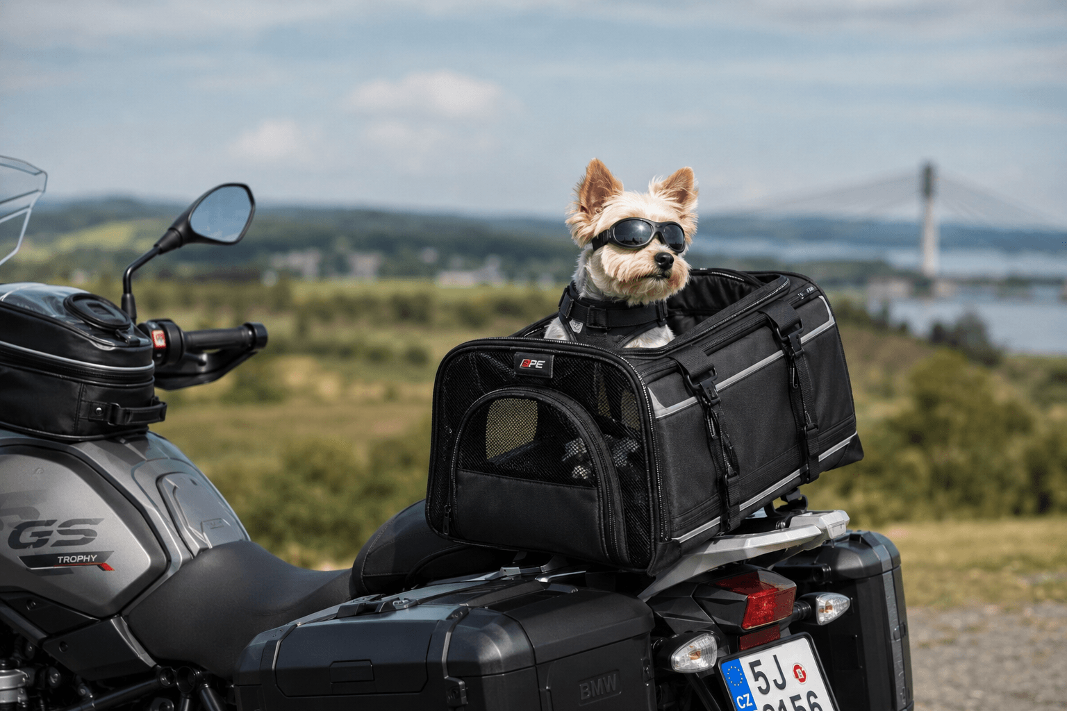 Jak převážet pejska na motorce? Bezpečnost na prvním místě
