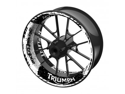 Triumph CP17TH N01C01 3D
