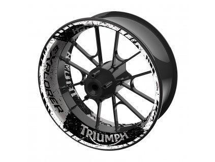Triumph CP17TH T01C01 3D