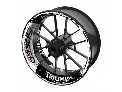 Triumph CP17TH N02C01 3D