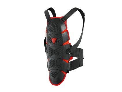 pro speed back short.jpg(3)