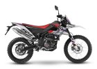 RX 125 2022 - 2024