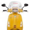 flyscreen piaggio cruiser PI102700