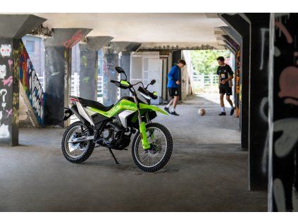 250 DUAL