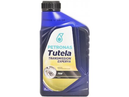 TRANSMEXPERYA