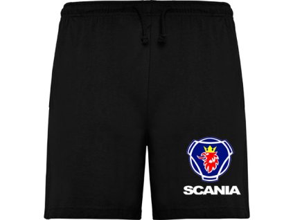 sortky scania