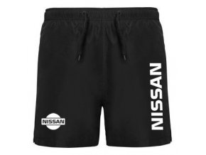 ber nissan