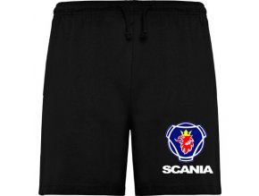 sortky scania
