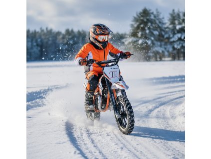 minicross leramotors devil deluxe 49ccm 2t oran ov 02