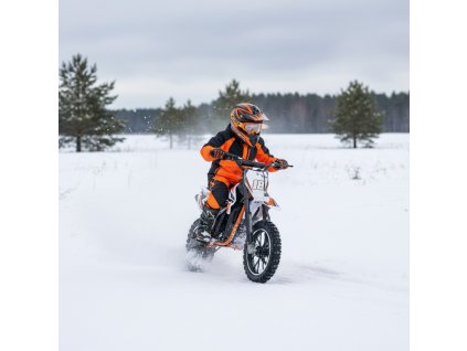 minicross leramotors devil deluxe 800w 36v oran ov 01