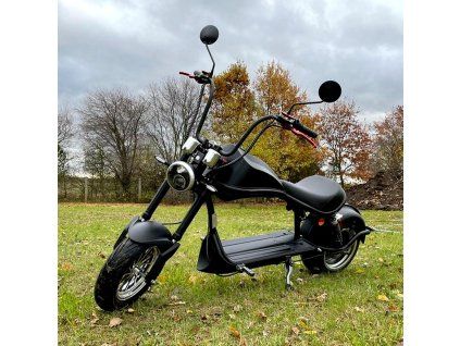 lera%20scooters%20C5%20cerna