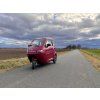 Leramotors Tříkolka E3 2000W 60V - červená