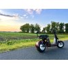 Elektrokoloběžka Leramotors SCOOTERS C2 2000W - hnědá