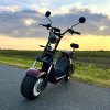 Elektrokoloběžka Leramotors SCOOTERS C2 2000W - hnědá