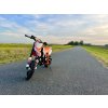 Dětský pitbike Leramotors by Apollo - THUNDER 70ccm automat 10/10 E-Start - oranžový
