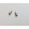 Decorative license plate screws (red)