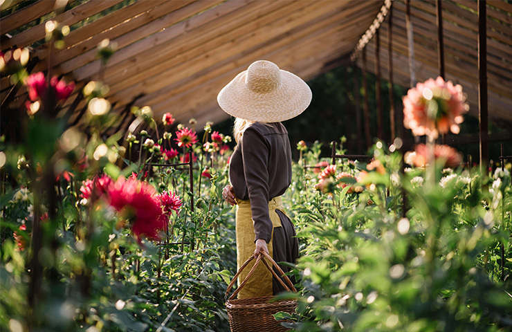 Ako skrášliť záhradu?