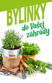 bylinky
