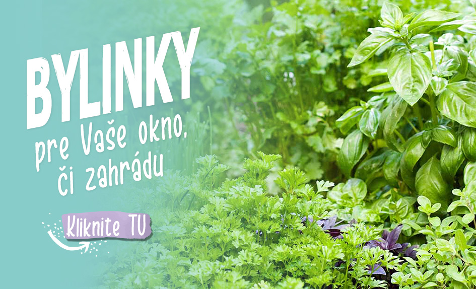 bylinky