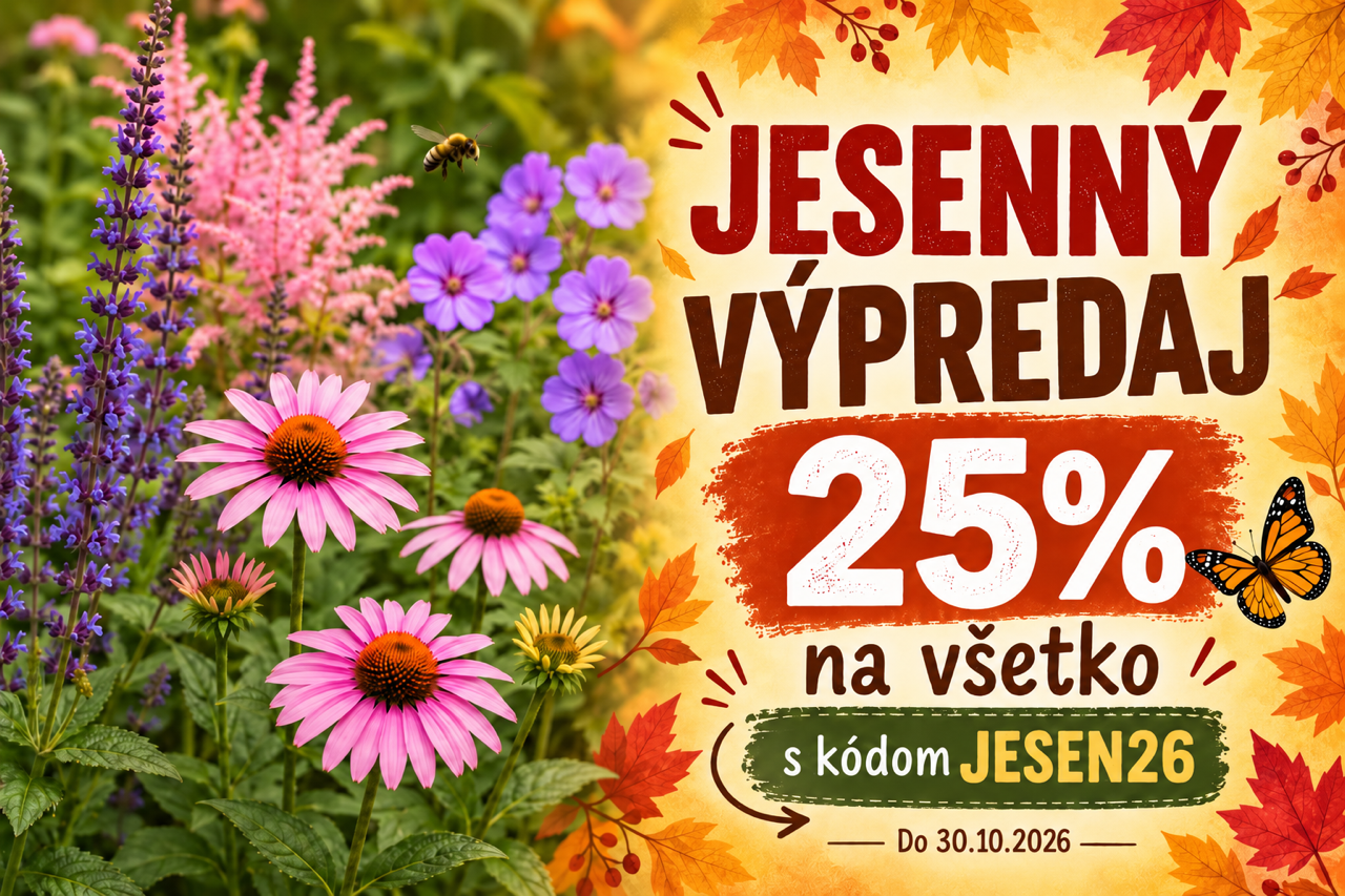 Jesenny vypredaj