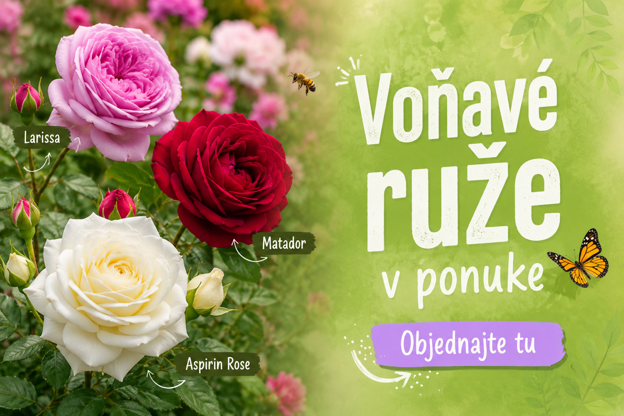 Novinky v Motyčkove