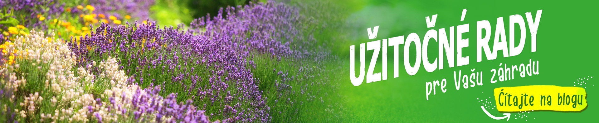 Čítajte náš blog