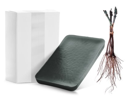 1364x1024pix revilan Z