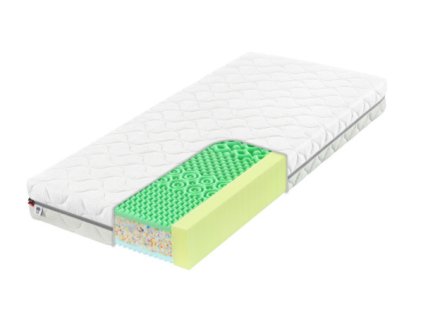 Aloe Memory 22 (3)