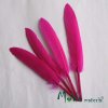 Ozdobné kachní peří délka 120-140mm, 4ks, růžové