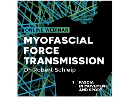 Snímek obrazovky 2025 11 11 v 12.39.34