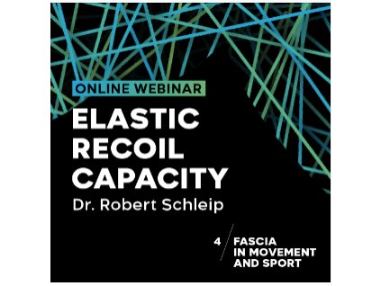 Snímek obrazovky 2025 11 13 v 8.01.05