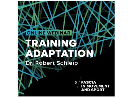 Snímek obrazovky 2025 11 13 v 17.16.42