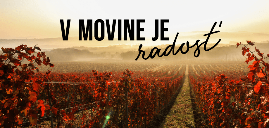 movino vinohrady vinica