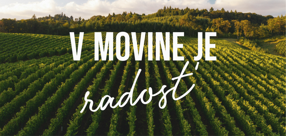 movino vinohrady vinica