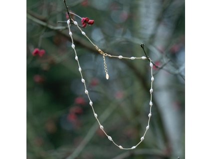 469656388 18253660900286093 1212729442979981279 n1