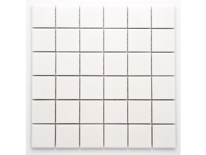 MC48 004 keramická mozaika bílá 48x48mm