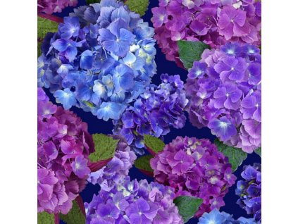 tisk - Hydrengea Blooms - 1649-29559