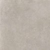 IBH4 DISTRICT SILVER 60X60 SPAZZOLATO R10 05