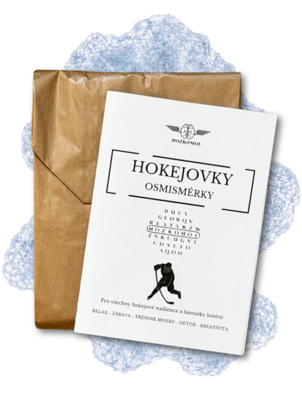 hokejovky osmismerky obal