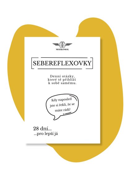 sebereflexovky jak byt lepsi ja mozkomol