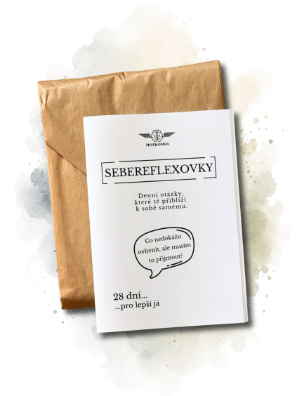 sebereflexovky nahled