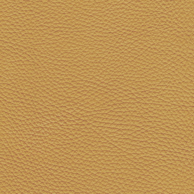 bezova_02(bezova)