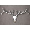Dekorační parohy - Jelen